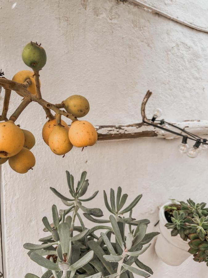 Апартаменты Apartamento C-Alma En El Corazon De Vejer Вьер де ла Фронтера Экстерьер фото